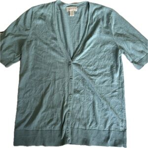 LOFT Women's Light Blue V-Neck Sweater